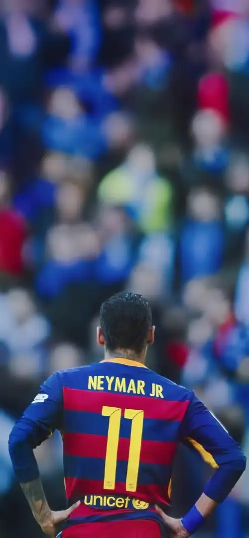 成功的英超 成功的英超