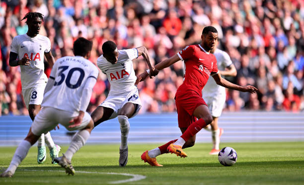 依靠团队的 依靠团队的